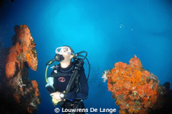 Wide angle diver shot by Louwrens De Lange 